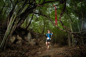 BIB: 
                            <button type="button" onclick="openModal(22178862)" class="btn btn-primary btn-sm float-right btn-popup" data-toggle="modal" data-target=".modal-high-quality">
                        <i class="fas fa-shopping-cart"></i> Add to Cart
                    </button>
                                            <button type="button" onclick="isThisMe(22178862, true)" class="btn btn-success btn-sm float-right btn-popup btn-isme hidden" data-toggle="tooltip" data-placement="bottom" title="นี่คือรูปของคุณใช่ไหม คลิกที่นี่เพื่อเอาเข้าอัลบั้ม">
                        <i class="fas fa-plus"></i> Add to album
                    </button>
                    <button type="button" onclick="isThisMe(22178862, false)" class="btn btn-warning btn-sm float-right btn-popup btn-isnotme hidden">
                        <i class="fas fa-ban"></i> Remove from album
                    </button>